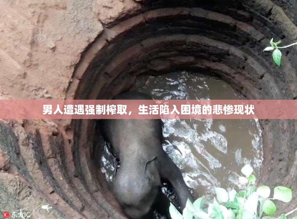 男人遭遇强制榨取，生活陷入困境的悲惨现状