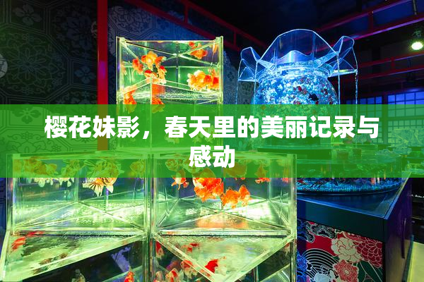 樱花妹影，春天里的美丽记录与感动