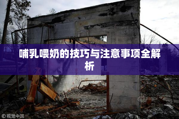 哺乳喂奶的技巧与注意事项全解析