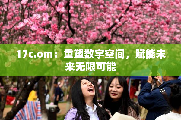 17c.om：重塑数字空间，赋能未来无限可能