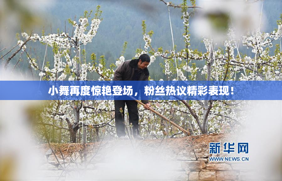 小舞再度惊艳登场，粉丝热议精彩表现！