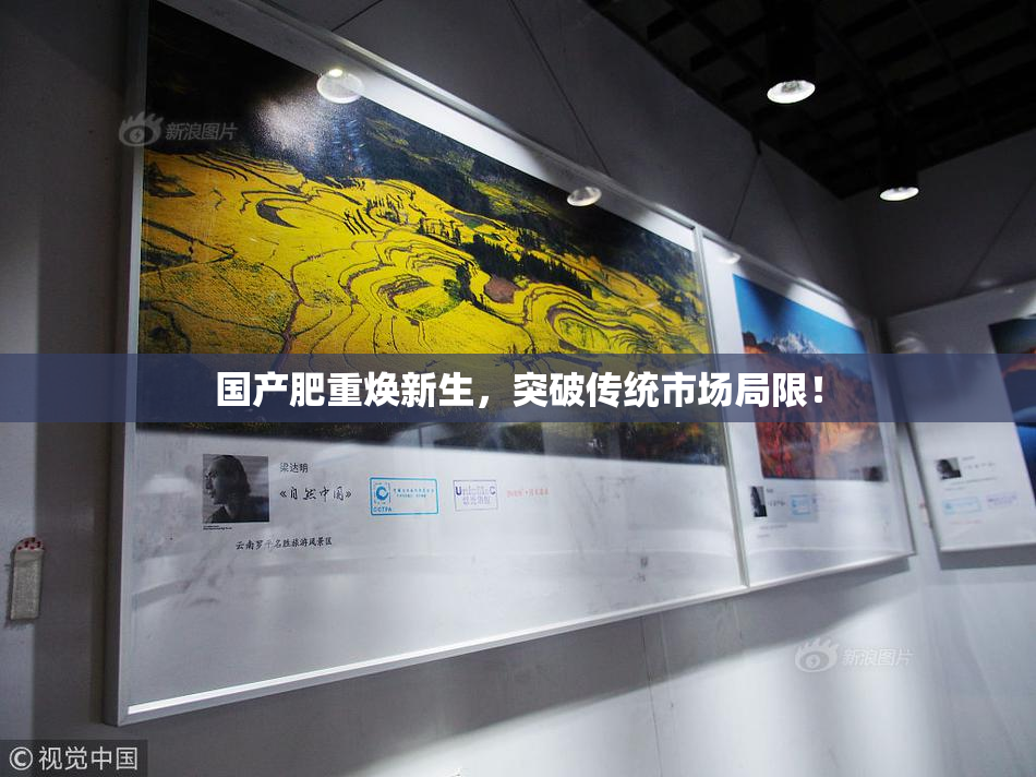 国产肥重焕新生，突破传统市场局限！