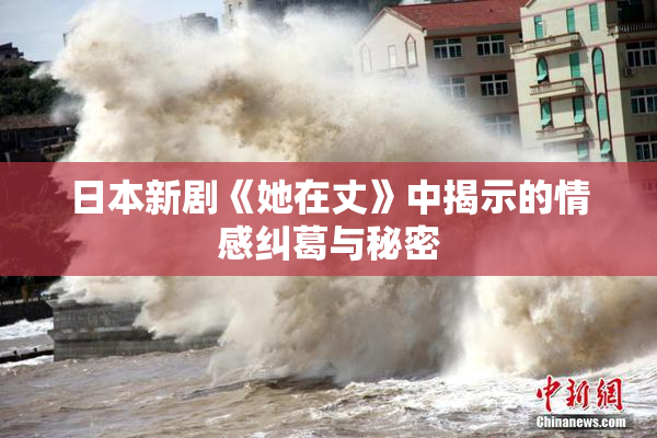 日本新剧《她在丈》中揭示的情感纠葛与秘密