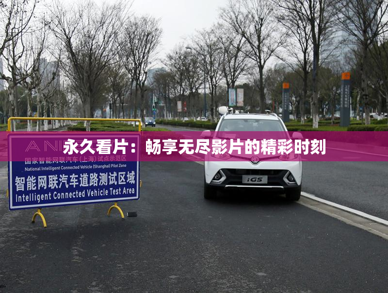 永久看片：畅享无尽影片的精彩时刻