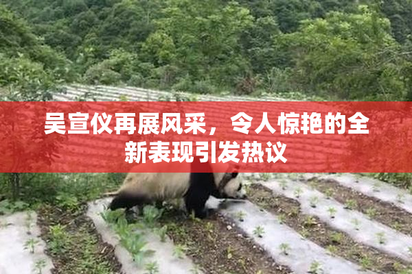 吴宣仪再展风采，令人惊艳的全新表现引发热议