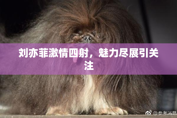 刘亦菲激情四射，魅力尽展引关注