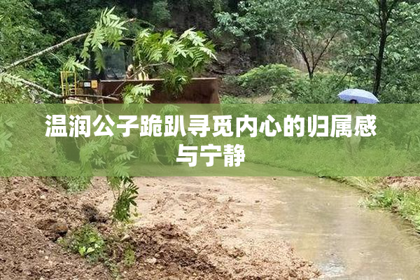 温润公子跪趴寻觅内心的归属感与宁静