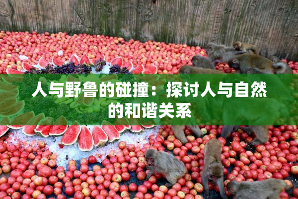人与野鲁的碰撞：探讨人与自然的和谐关系