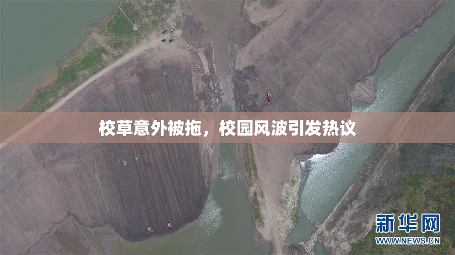 校草意外被拖，校园风波引发热议