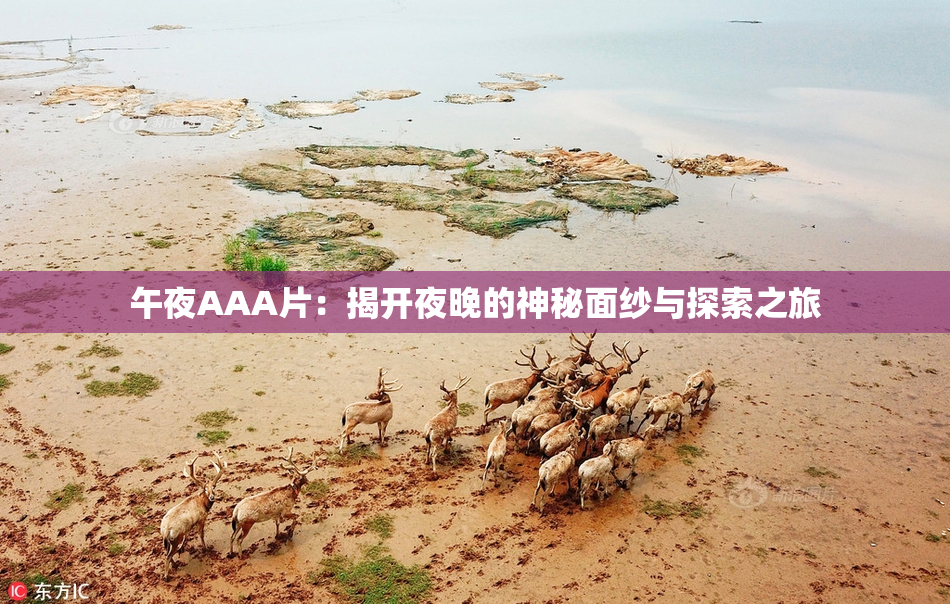 午夜AAA片：揭开夜晚的神秘面纱与探索之旅