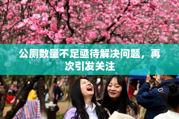 公厕数量不足亟待解决问题，再次引发关注