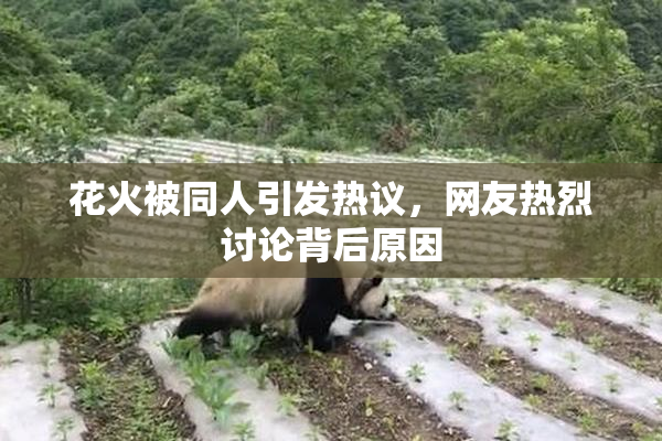 花火被同人引发热议，网友热烈讨论背后原因
