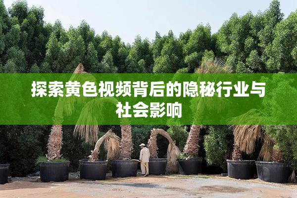 探索黄色视频背后的隐秘行业与社会影响