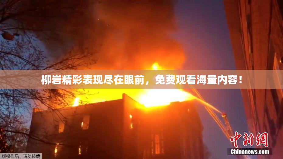 柳岩精彩表现尽在眼前，免费观看海量内容！
