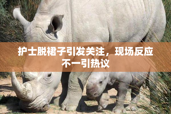 护士脱裙子引发关注，现场反应不一引热议