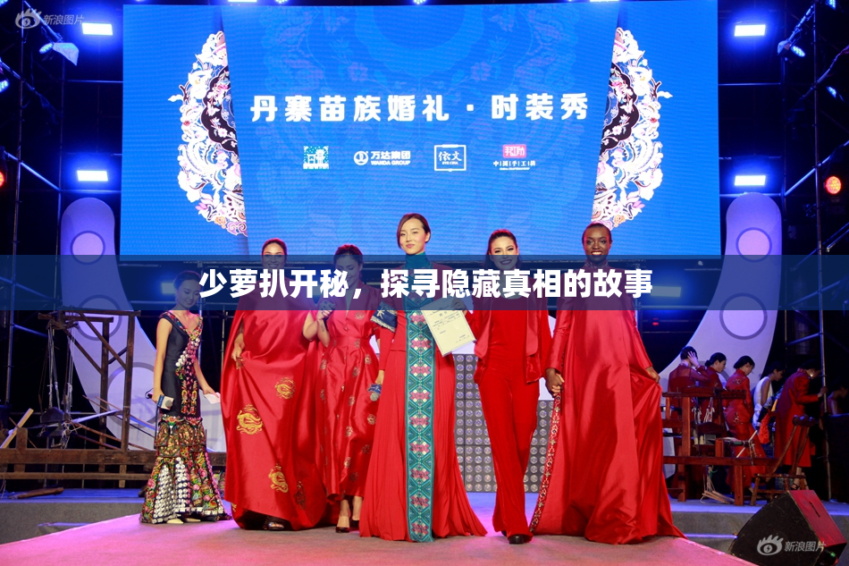 少萝扒开秘，探寻隐藏真相的故事