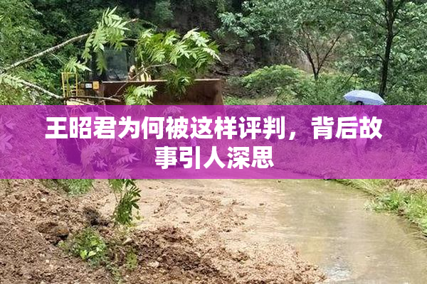 王昭君为何被这样评判，背后故事引人深思