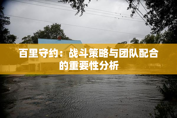 百里守约：战斗策略与团队配合的重要性分析