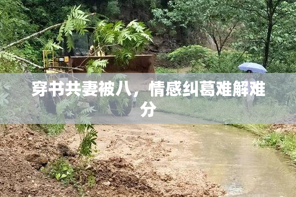穿书共妻被八，情感纠葛难解难分