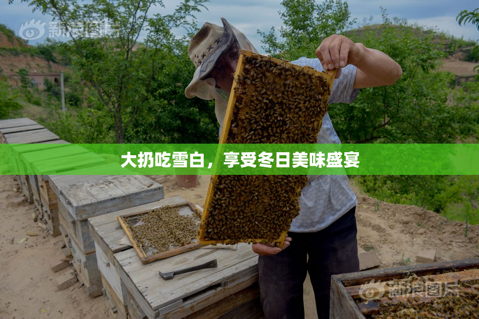 大扔吃雪白，享受冬日美味盛宴