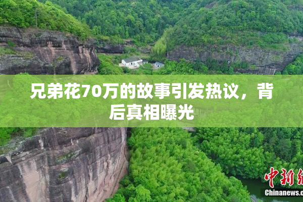 兄弟花70万的故事引发热议，背后真相曝光