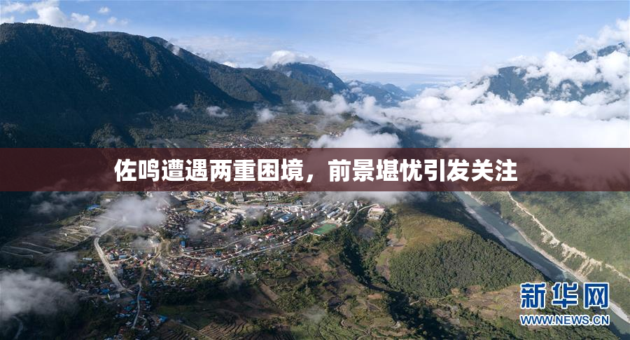 佐鸣遭遇两重困境，前景堪忧引发关注
