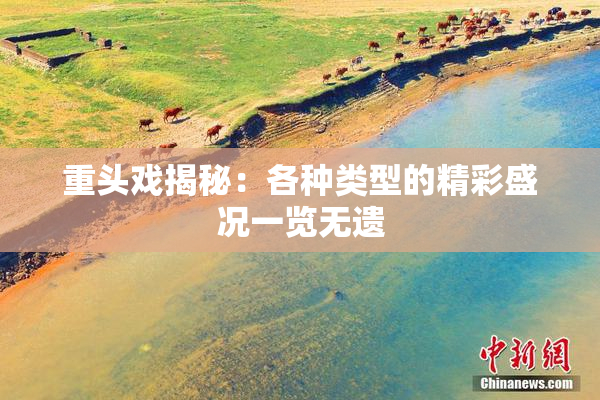 重头戏揭秘：各种类型的精彩盛况一览无遗