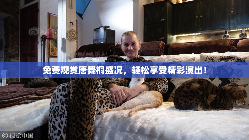 免费观赏唐舞桐盛况，轻松享受精彩演出！