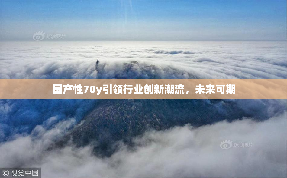 国产性70y引领行业创新潮流，未来可期