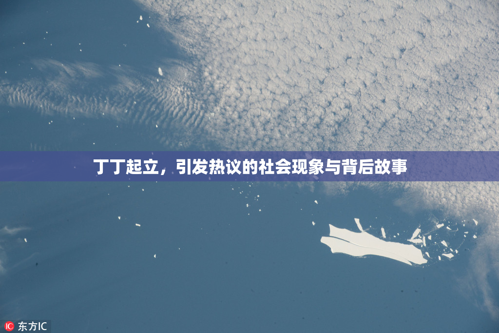 丁丁起立，引发热议的社会现象与背后故事
