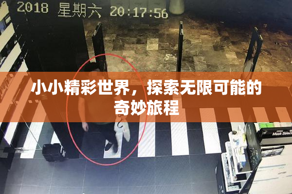 小小精彩世界，探索无限可能的奇妙旅程