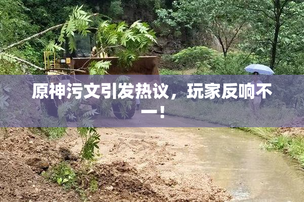 原神污文引发热议，玩家反响不一！