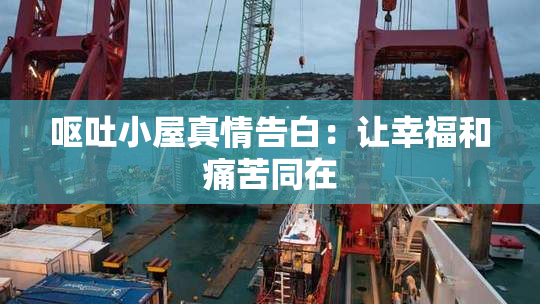 呕吐小屋真情告白：让幸福和痛苦同在