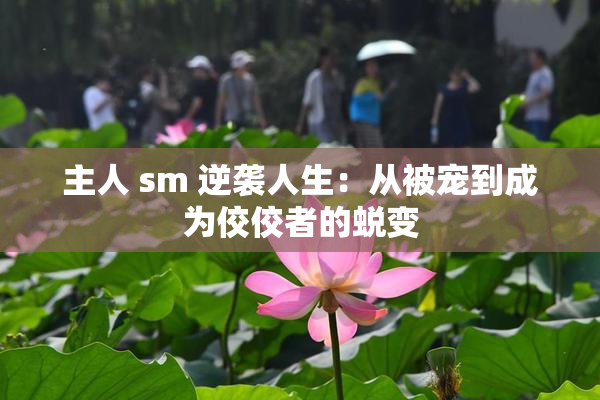 主人 sm 逆袭人生：从被宠到成为佼佼者的蜕变