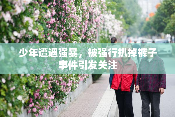 少年遭遇强暴，被强行扒掉裤子事件引发关注