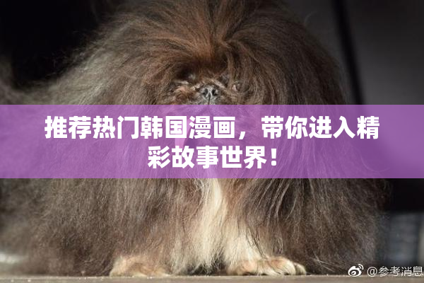 推荐热门韩国漫画，带你进入精彩故事世界！
