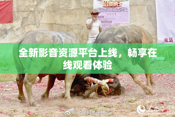 全新影音资源平台上线，畅享在线观看体验