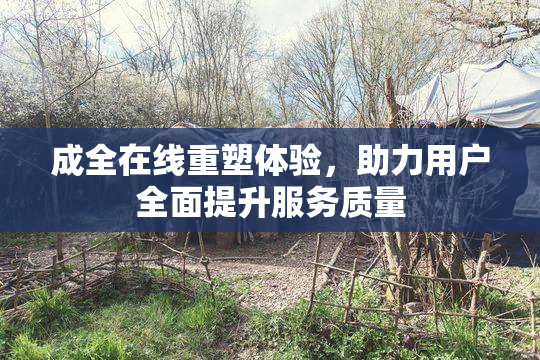 成全在线重塑体验，助力用户全面提升服务质量