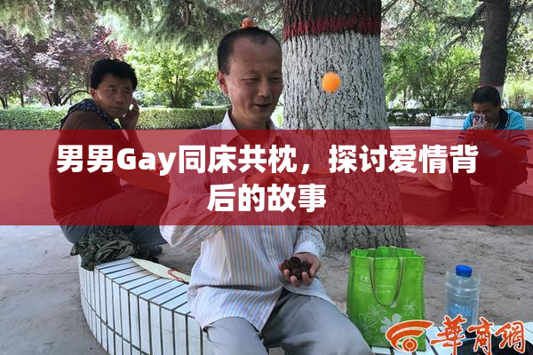 男男Gay同床共枕，探讨爱情背后的故事