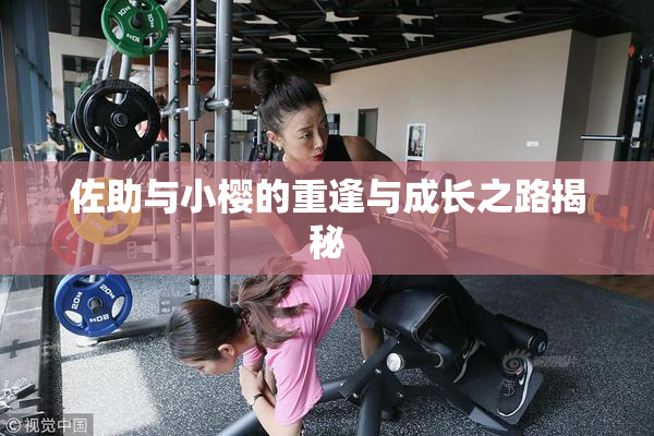 佐助与小樱的重逢与成长之路揭秘
