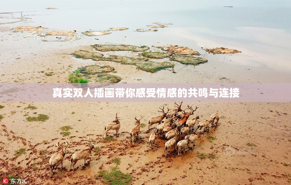 真实双人插画带你感受情感的共鸣与连接