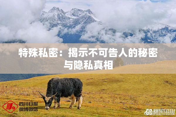 特殊私密：揭示不可告人的秘密与隐私真相