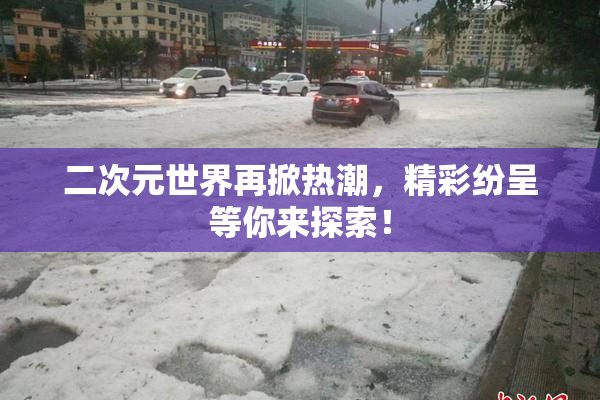 二次元世界再掀热潮，精彩纷呈等你来探索！
