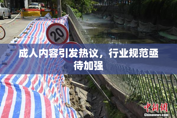 成人内容引发热议，行业规范亟待加强