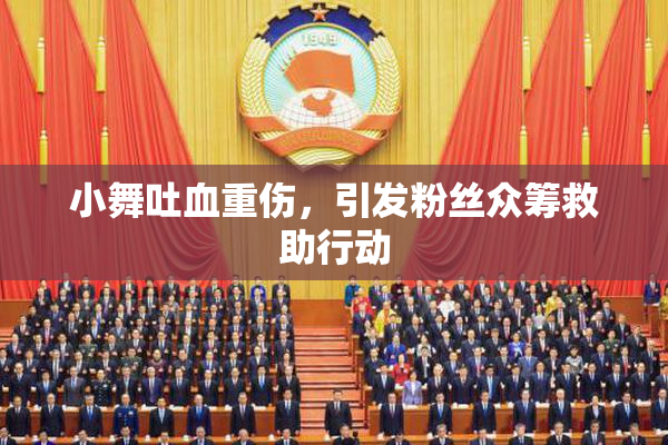 小舞吐血重伤，引发粉丝众筹救助行动