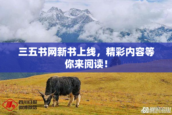 三五书网新书上线，精彩内容等你来阅读！