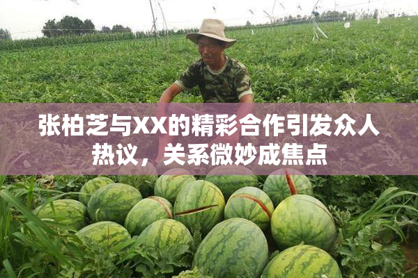 张柏芝与XX的精彩合作引发众人热议，关系微妙成焦点