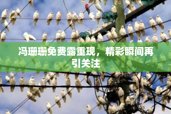 冯珊珊免费露重现，精彩瞬间再引关注