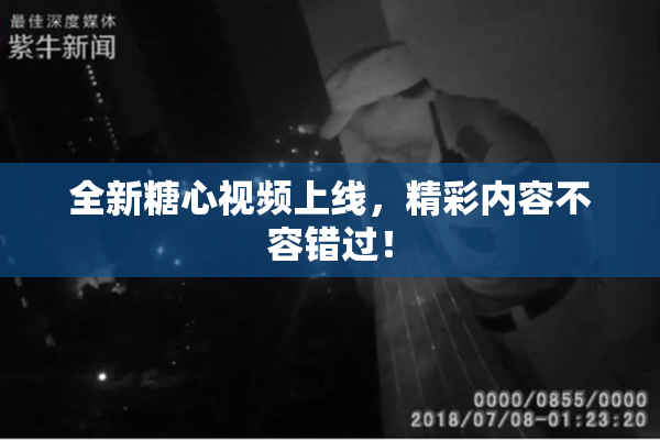 全新糖心视频上线，精彩内容不容错过！