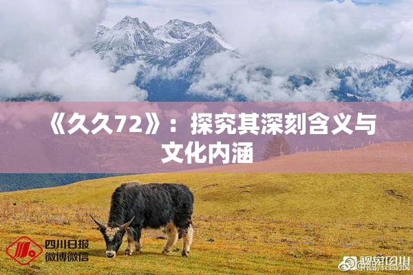 《久久72》：探究其深刻含义与文化内涵